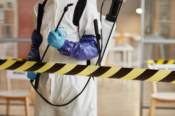 Professional Unattended Death Cleanup technician working in La Ward, TX